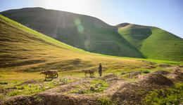 250421_WCA_AF_Badghis_Livelihoods_Landscape_52030-07-23-min